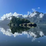 Cabana En Selva Patagonica, Cerca Del Pueblo