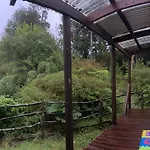 Cabana En Selva Patagonica, Cerca Del Pueblo