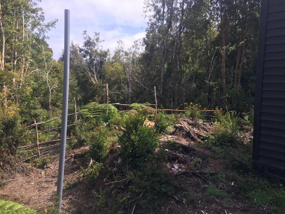 Pousada En Selva Patagonica, Cerca Del Pueblo