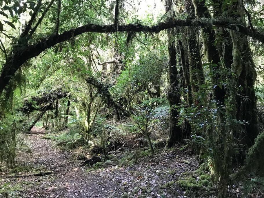 Pousada En Selva Patagonica, Cerca Del Pueblo