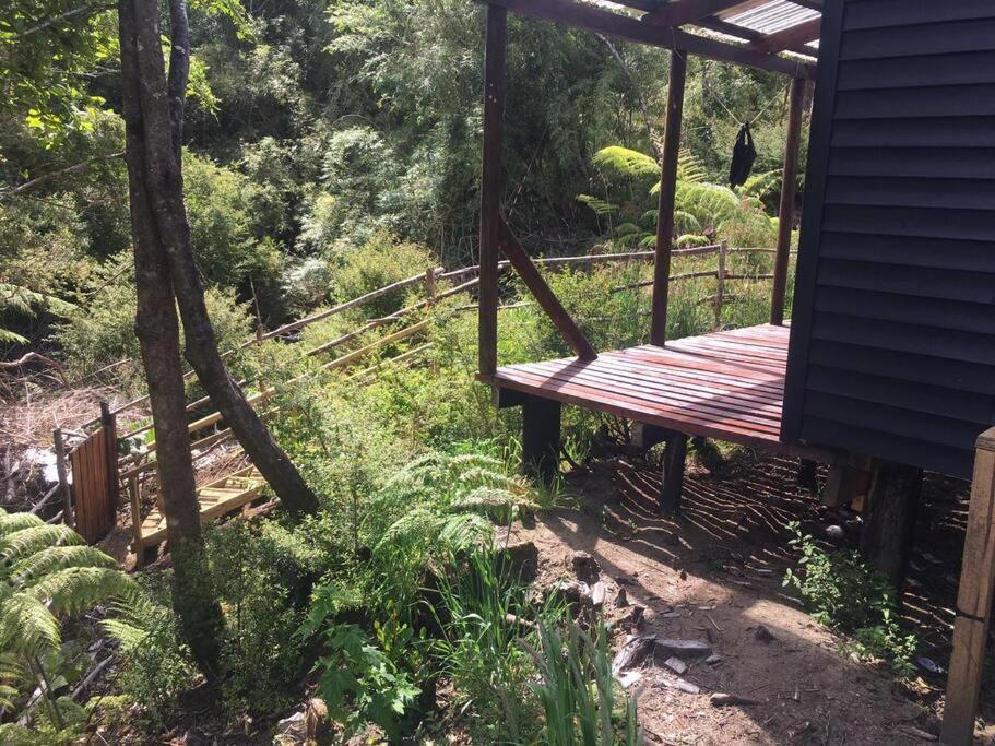 En Selva Patagonica, Cerca Del Pueblo * Puerto Raul Marin Balmaceda