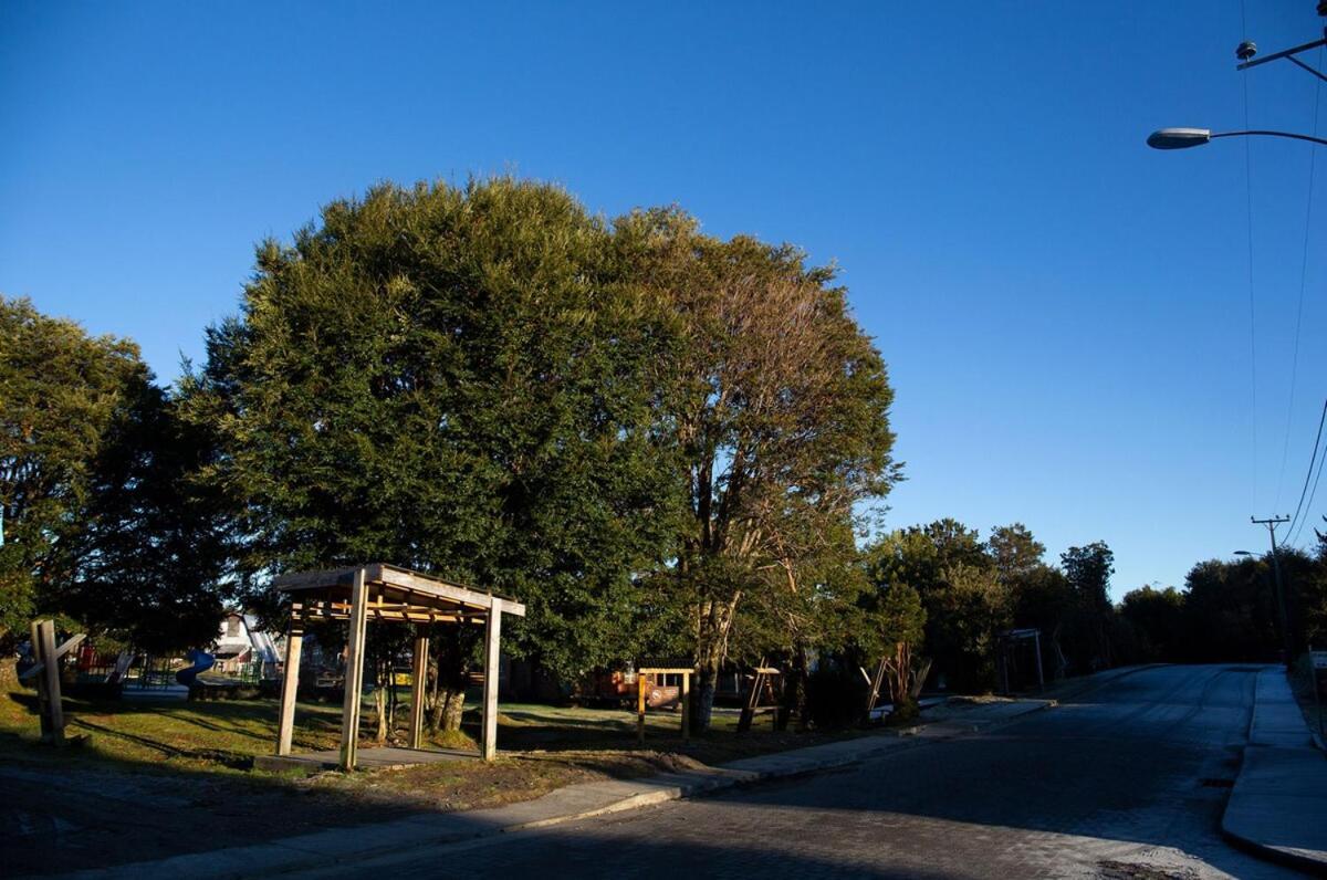 Pousada En Selva Patagonica, Cerca Del Pueblo Puerto Raul Marin Balmaceda