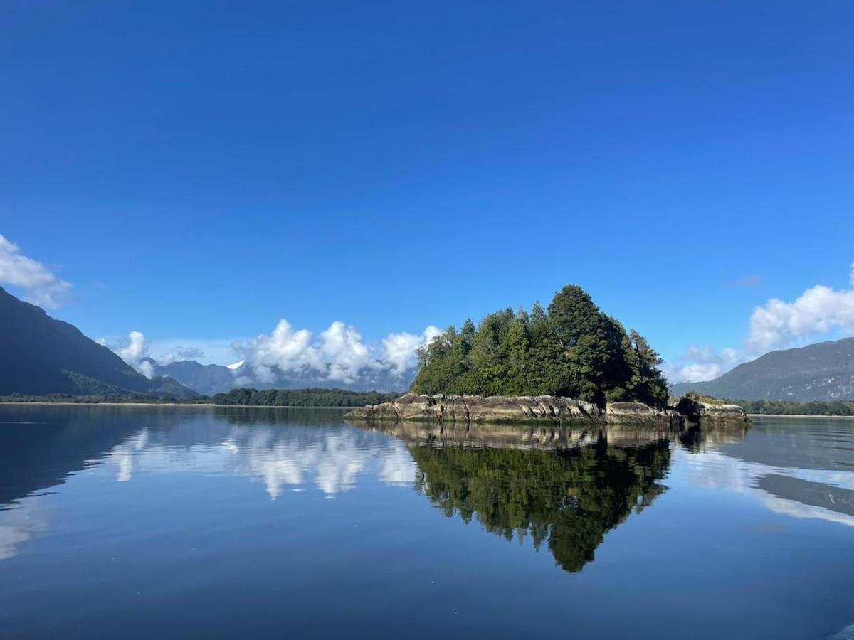 En Selva Patagonica, Cerca Del Pueblo * Puerto Raul Marin Balmaceda