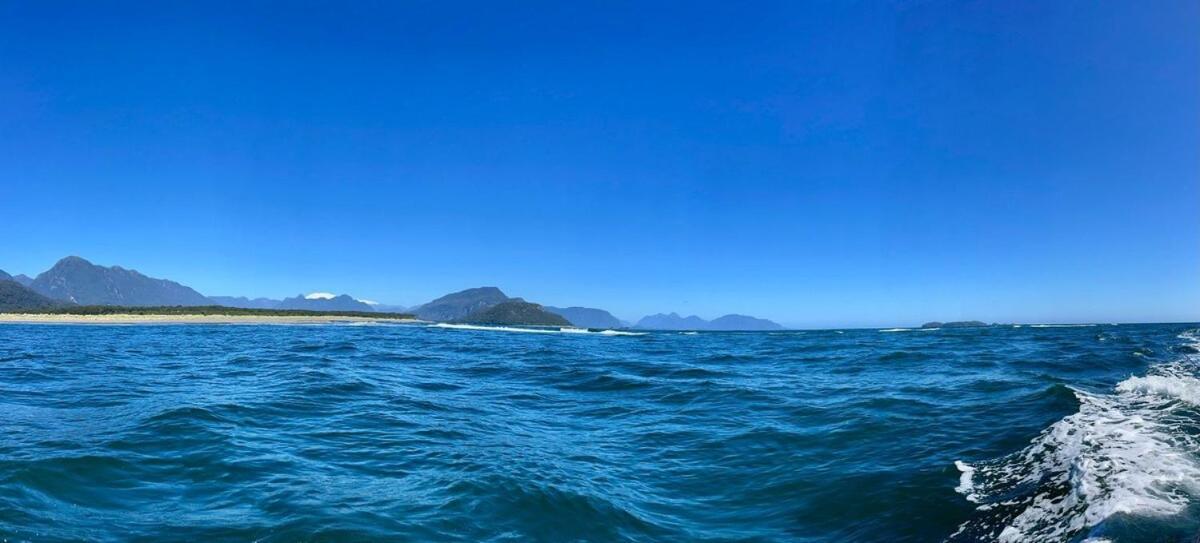 En Selva Patagonica, Cerca Del Pueblo *