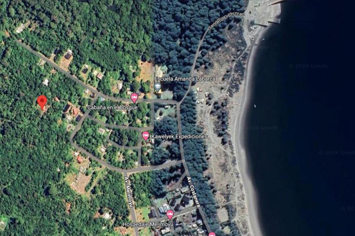 En Selva Patagonica, Cerca Del Pueblo * Puerto Raul Marin Balmaceda