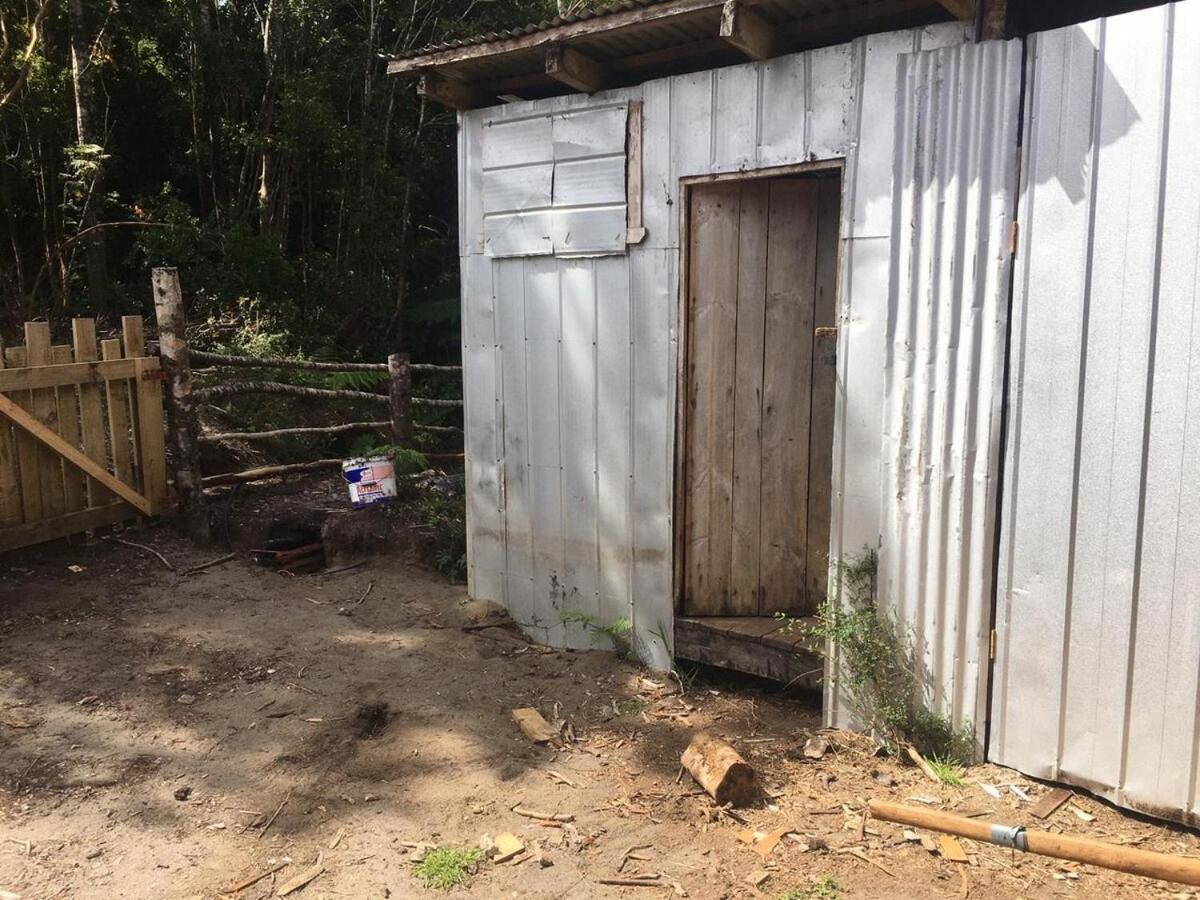 En Selva Patagonica, Cerca Del Pueblo Puerto Raul Marin Balmaceda