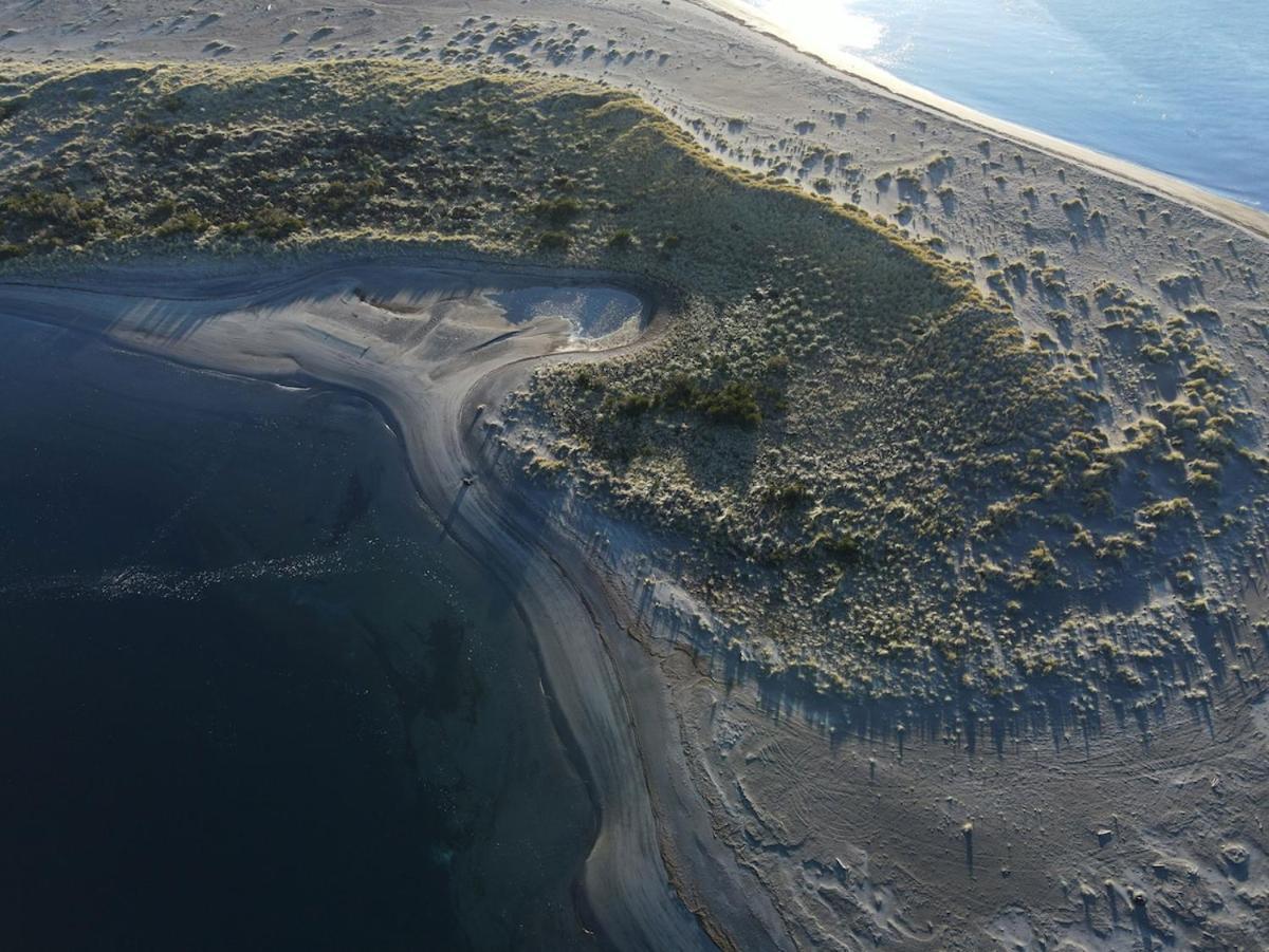 En Selva Patagonica, Cerca Del Pueblo Puerto Raul Marin Balmaceda