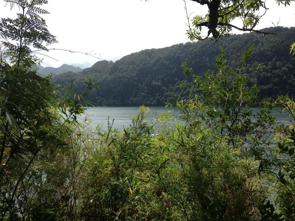 En Selva Patagonica, Cerca Del Pueblo Pousada