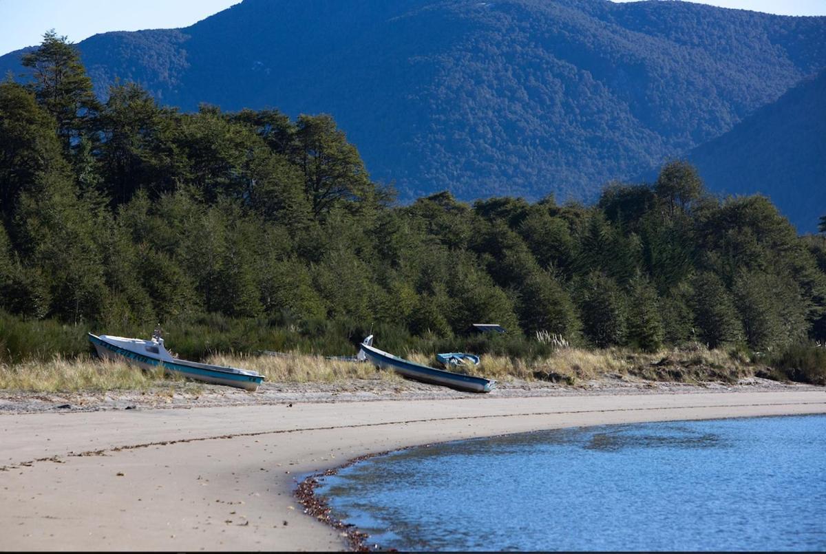 En Selva Patagonica, Cerca Del Pueblo * Puerto Raul Marin Balmaceda