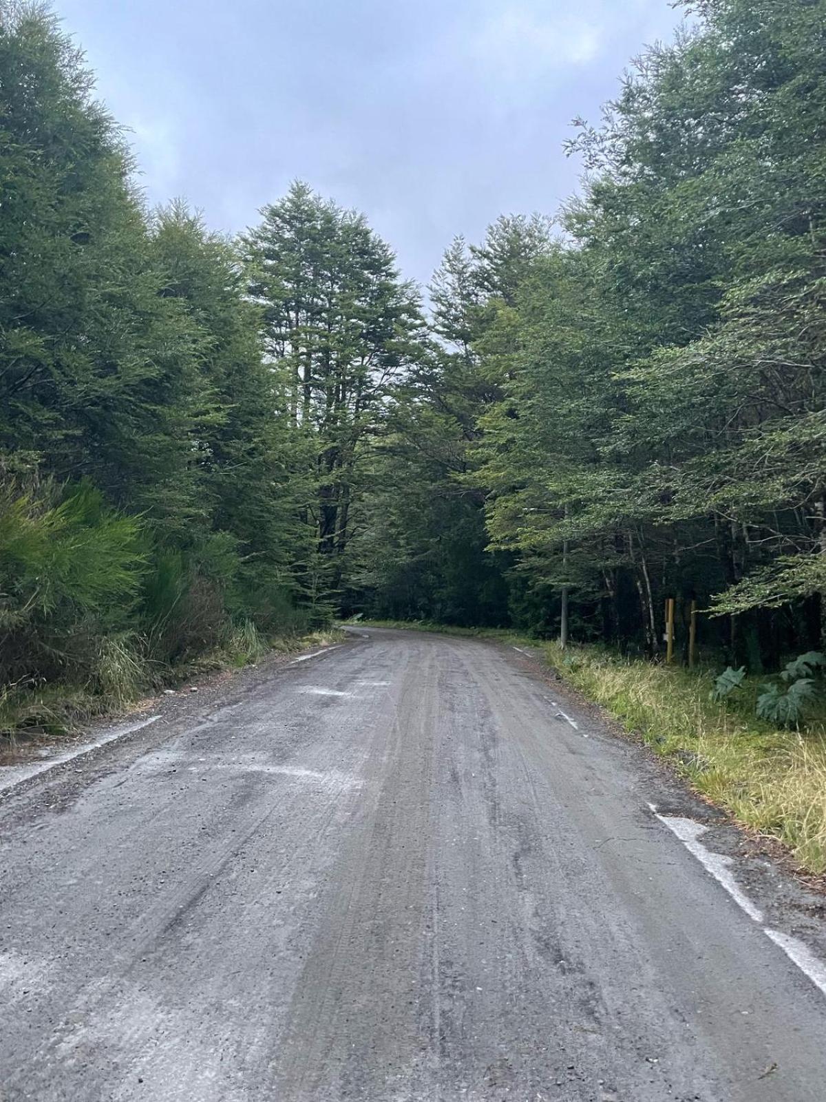 Pousada En Selva Patagonica, Cerca Del Pueblo