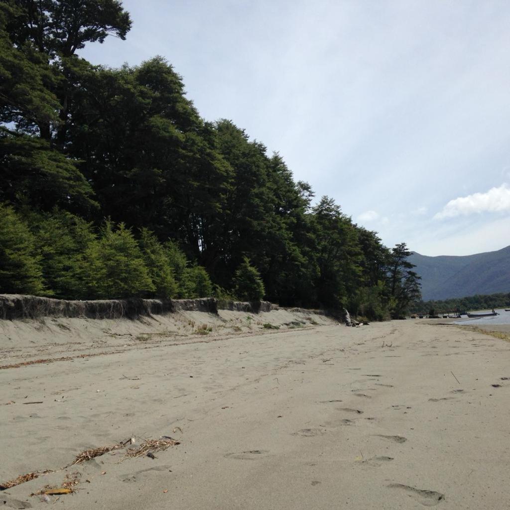 En Selva Patagonica, Cerca Del Pueblo Pousada *