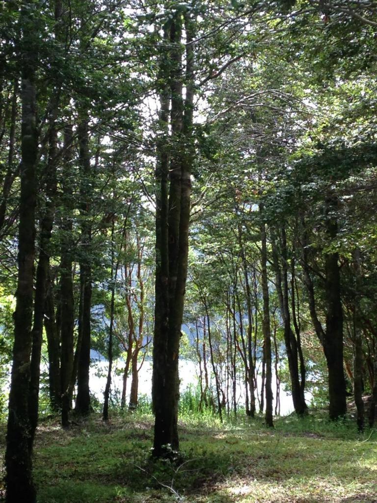 Pousada En Selva Patagonica, Cerca Del Pueblo *