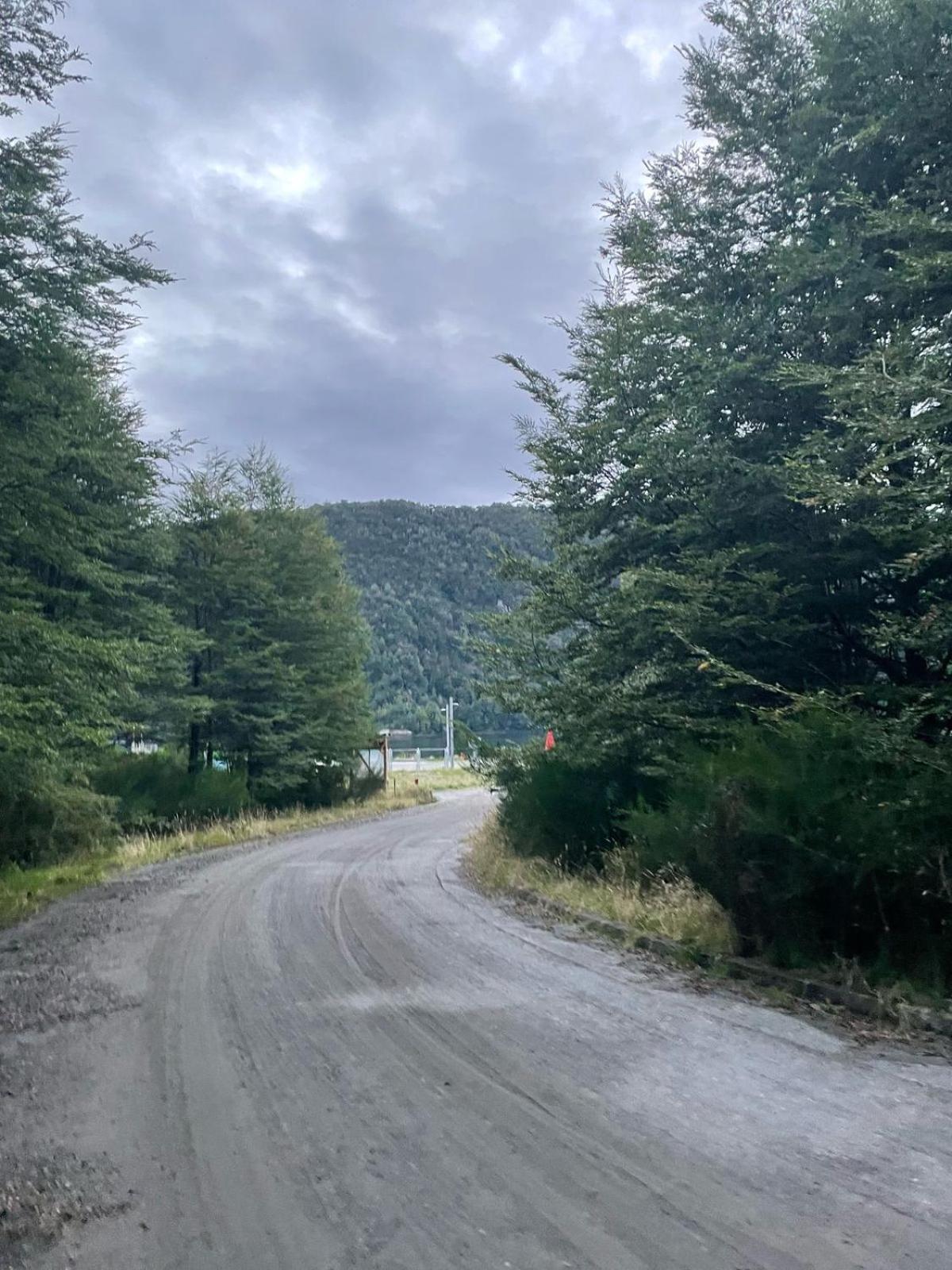 En Selva Patagonica, Cerca Del Pueblo * Puerto Raul Marin Balmaceda