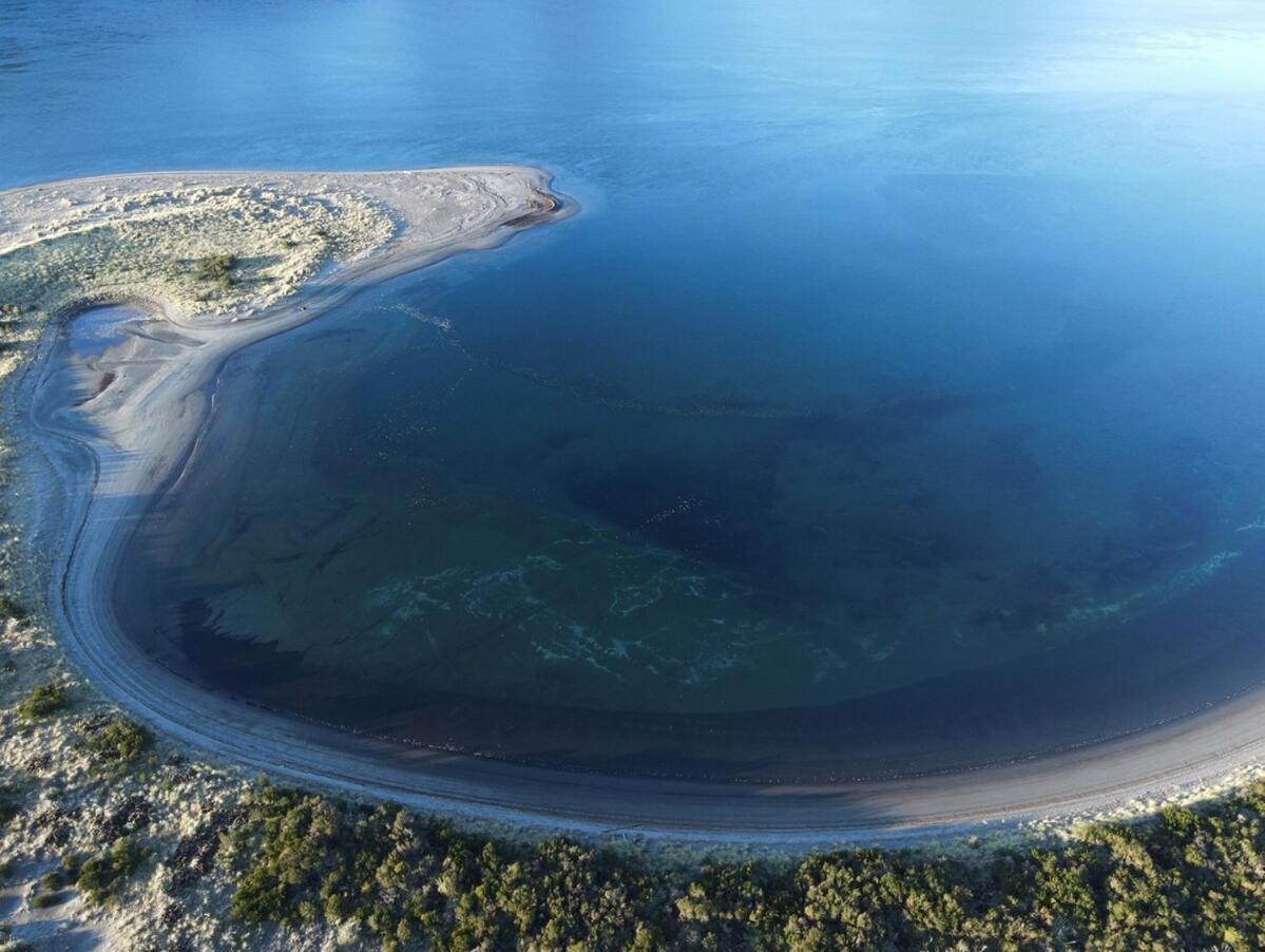 En Selva Patagonica, Cerca Del Pueblo Pousada