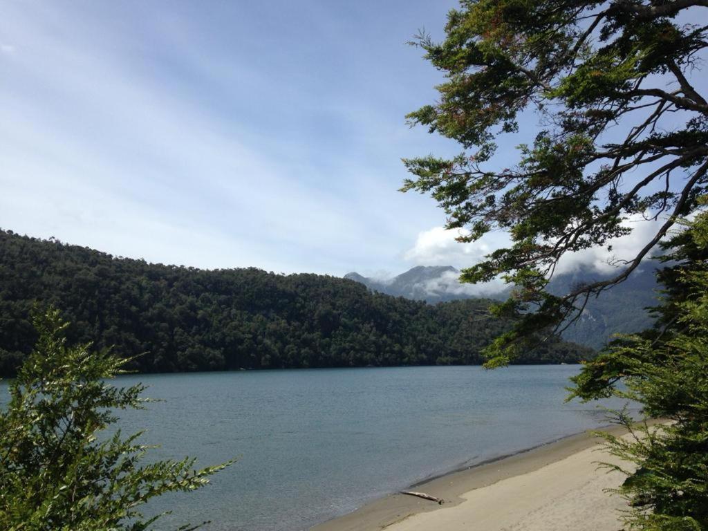 Pousada En Selva Patagonica, Cerca Del Pueblo *