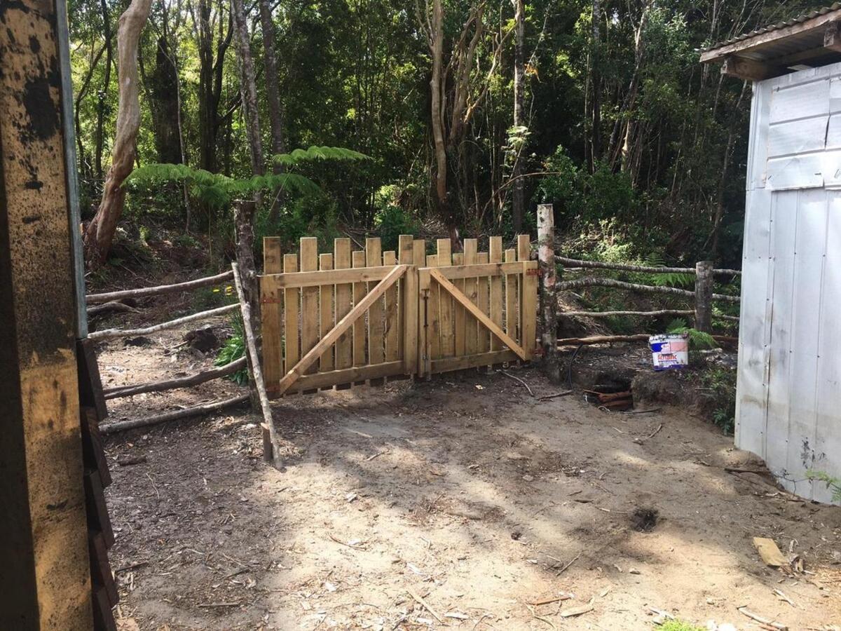 En Selva Patagonica, Cerca Del Pueblo Pousada