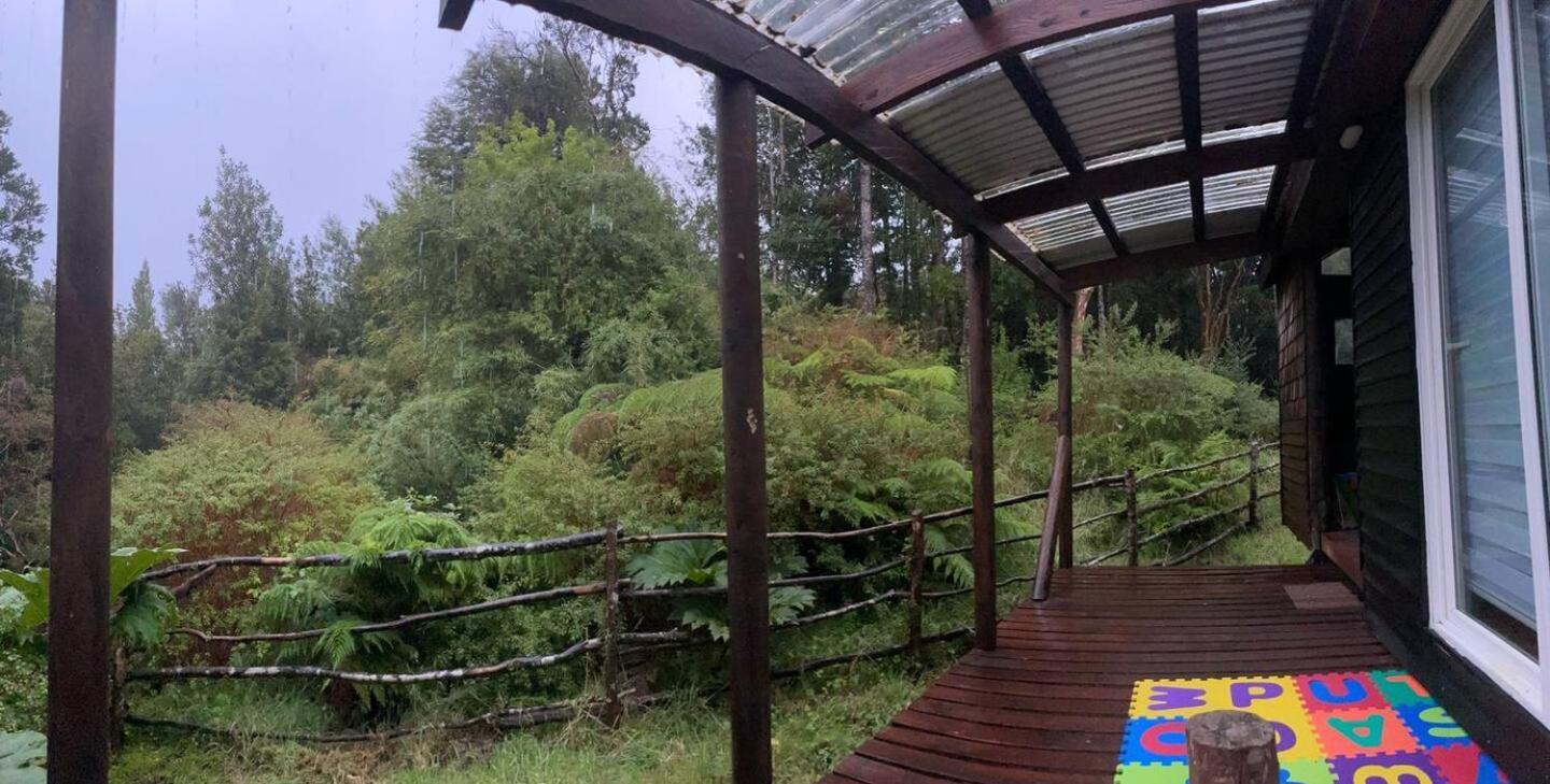 En Selva Patagonica, Cerca Del Pueblo * Puerto Raul Marin Balmaceda