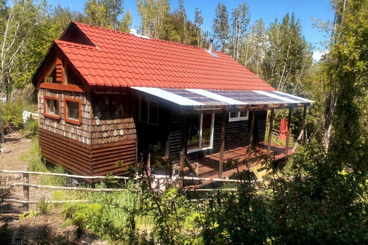 En Selva Patagonica, Cerca Del Pueblo
