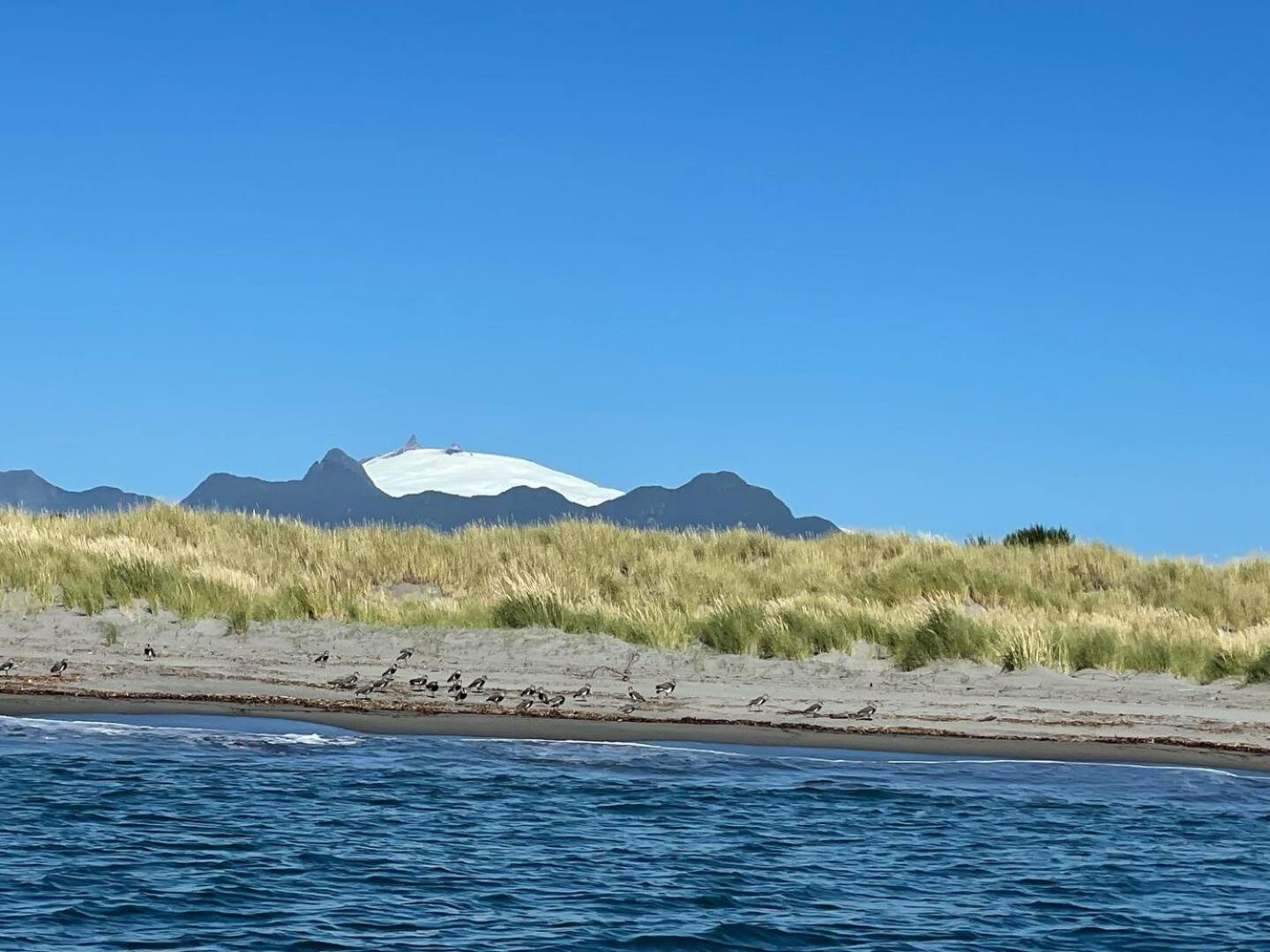 En Selva Patagonica, Cerca Del Pueblo *