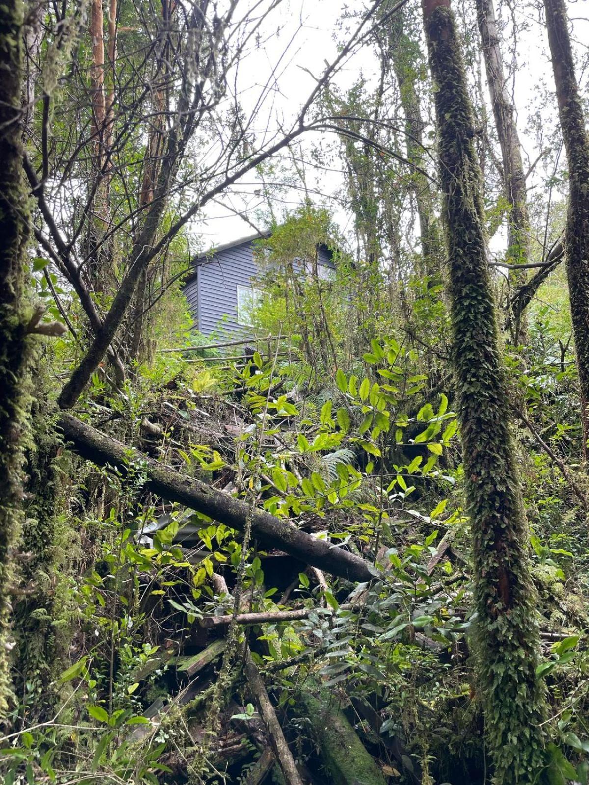En Selva Patagonica, Cerca Del Pueblo Puerto Raul Marin Balmaceda